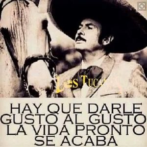 Meet your Posher, Luis